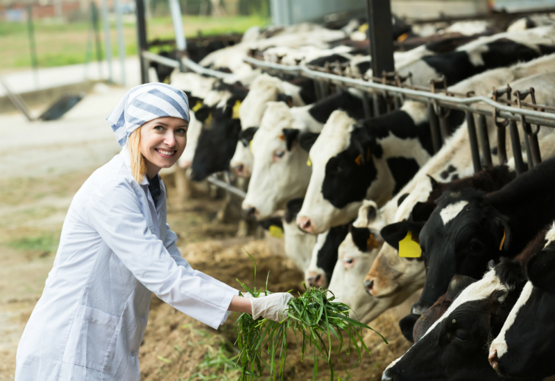 Why It Is Important to Avoid Unnecessary Debt to Have a Successful Farm