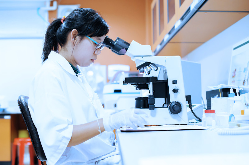 Reasons to Consider Using Mycorrhizal Root Powder from Mazor Israel