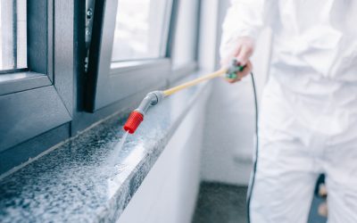 Homeowners trust an Exterminator Cedar Grove NJ for fast relief from common pest problems